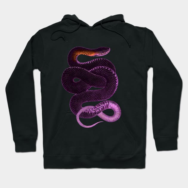 serpent,cobra,reptile,viper,venom,lizard,rattlesnake,king cobra,dragon,hydra,poison,venomous,plumber's snake,pythonidae,pythons,auger,python,squamata,serpentine,worm,big,ophidian,rattlesnakes,medusa,snakebite Hoodie by vabontchi